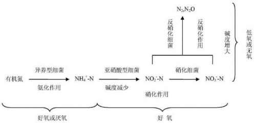 脫氮原理示意圖