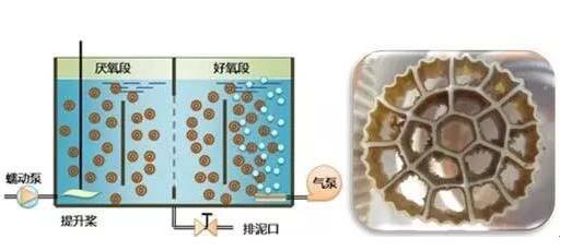 生物膜反應(yīng)器