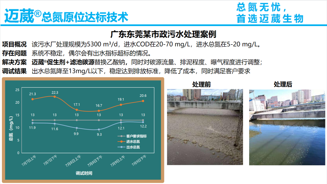 總氮原位達標(biāo)技術(shù)案例-市政污水處理