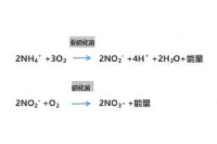 食品廢水氨氮超標(biāo)，你可以這么做